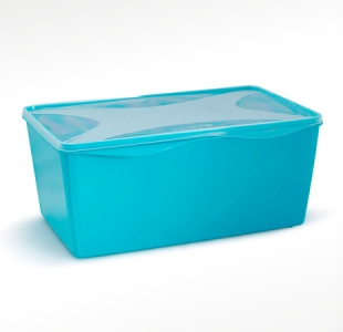 imagem do produto organizador multiúso retangular 12 L