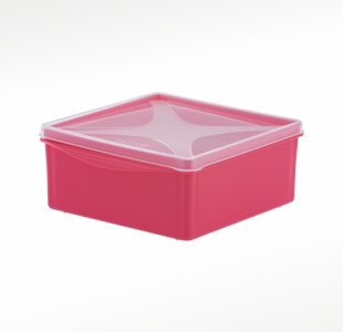 imagem do produto organizador multiúso quadrado baixo 1,3 L