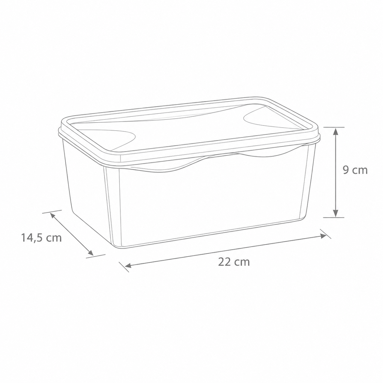organizador multiúso retangular 1,5 L