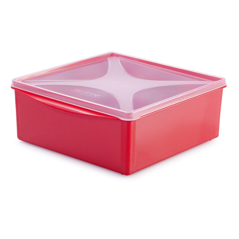 organizador multiúso quadrado baixo 4,8 L