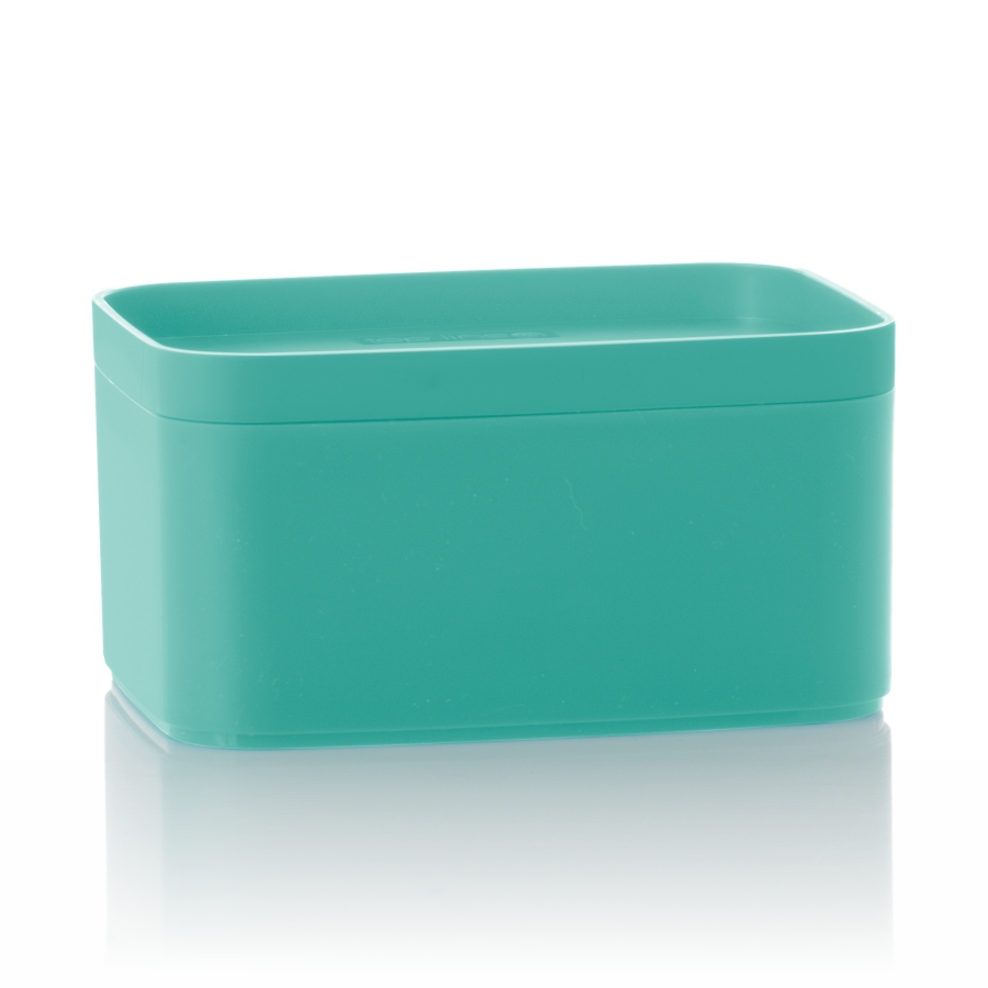 caixa multiúso 3,3 L - color